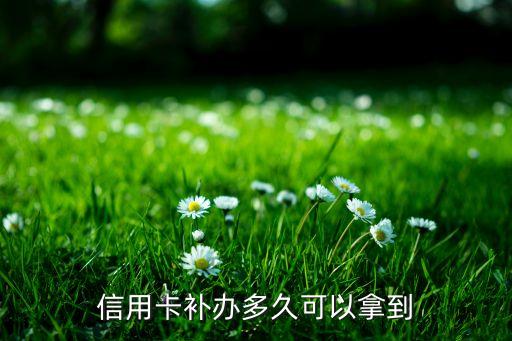 浦发银行信用卡报失,信用卡举报减肥系统