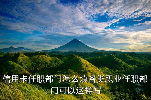 浦发银行信用卡职业怎么填,浦发银行信用卡业务员