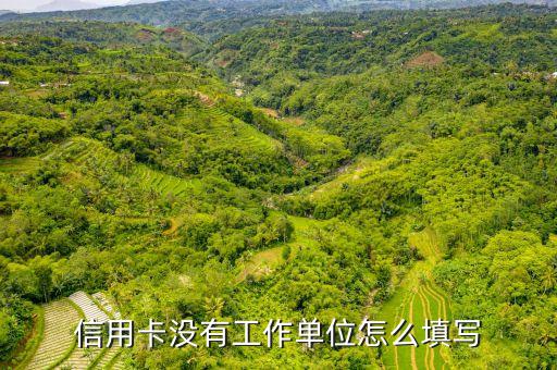 申请信用卡科技部门经理,信用卡部经理职责
