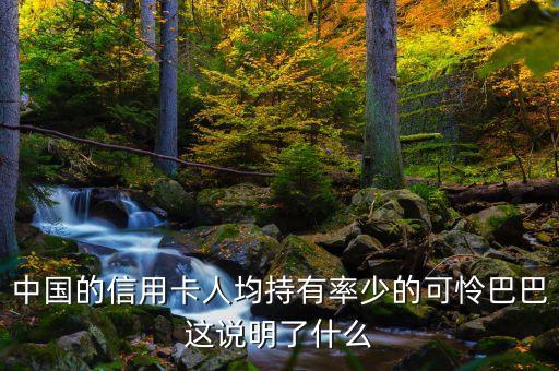 中国的信用卡人均持有率少的可怜巴巴这说明了什么