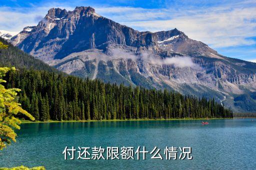 付还款限额什么情况