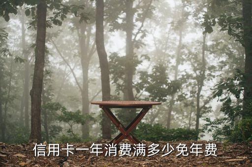 信用卡一年消费满多少免年费