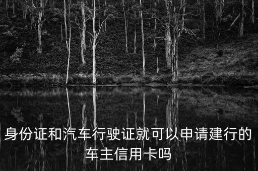 身份证和汽车行驶证就可以申请建行的车主信用卡吗