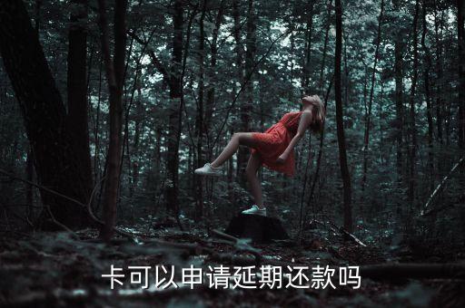 卡可以申请延期还款吗