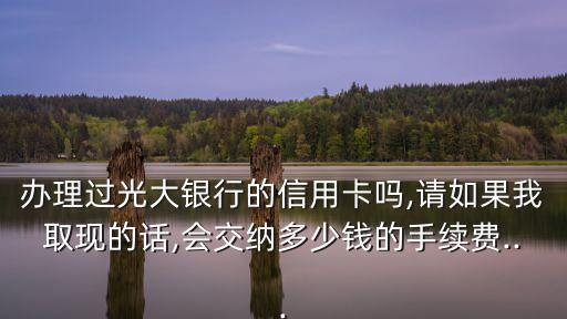 办理过光大银行的信用卡吗,请如果我取现的话,会交纳多少钱的手续费...
