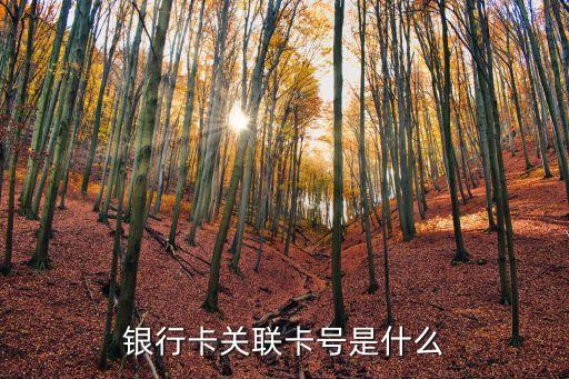 银行卡关联卡号是什么