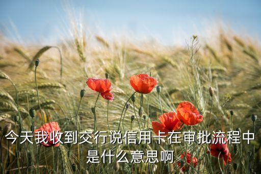 今天我收到交行说信用卡在审批流程中是什么意思啊