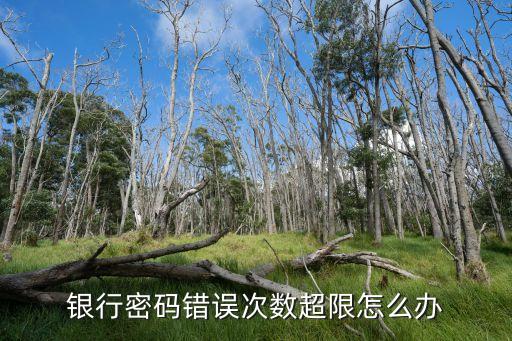 银行密码错误次数超限怎么办