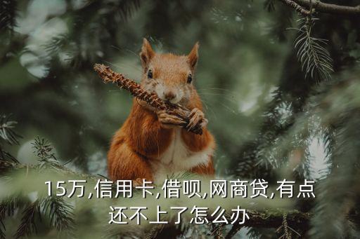 15万,信用卡,借呗,网商贷,有点还不上了怎么办