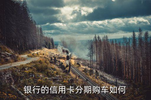 银行的信用卡分期购车如何
