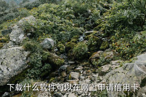 数字信用卡注册下载什么，工商信用卡下载什么app
