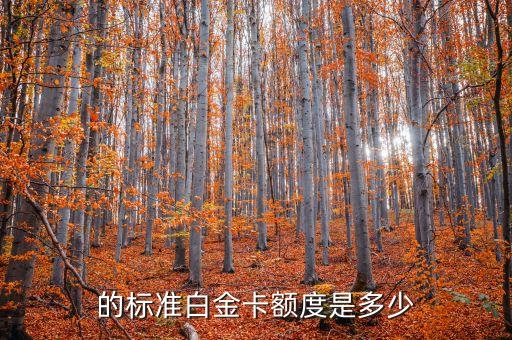 信用卡额度奖励,办张信用卡