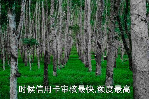 时候信用卡审核最快,额度最高