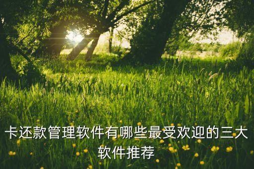 卡还款管理软件有哪些最受欢迎的三大软件推荐