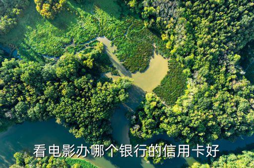 看电影办哪个银行的信用卡好