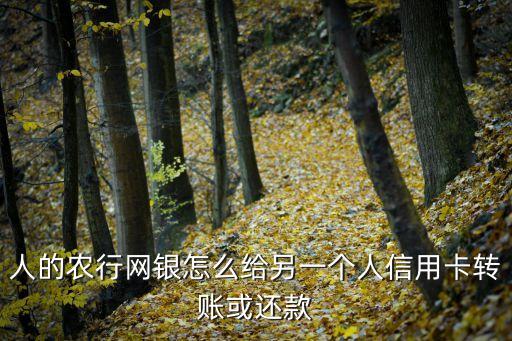 人的农行网银怎么给另一个人信用卡转账或还款