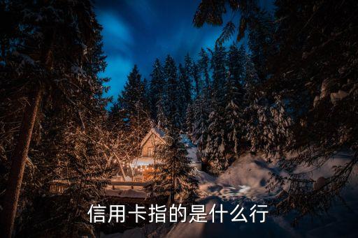 信用卡指的是什么行