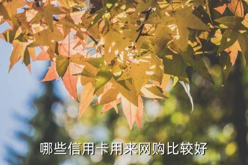 哪些信用卡用来网购比较好