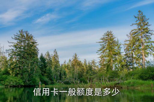 民生银行信用卡消费限额,民生银行信用卡额度超限