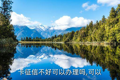 卡征信不好可以办理吗,可以