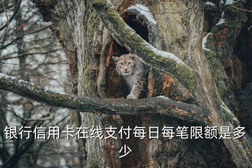 银行信用卡在线支付每日每笔限额是多少