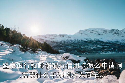 盛京银行和邮储银行信用卡怎么申请啊,需要什么手续啊本人有车...