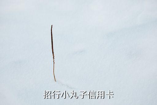 招行小丸子信用卡