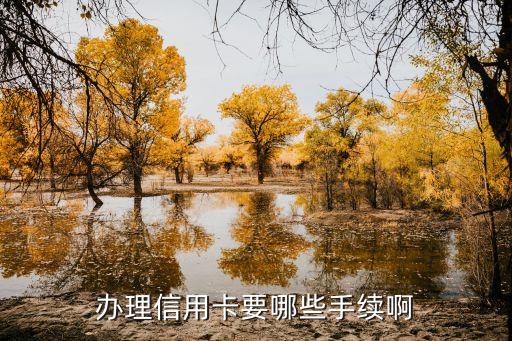 办理信用卡要哪些手续啊