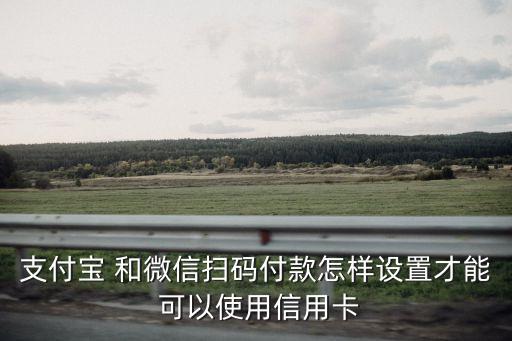 支付宝 和微信扫码付款怎样设置才能 可以使用信用卡