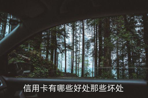信用卡有哪些好处那些坏处