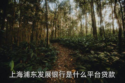 上海浦东发展银行是什么平台贷款
