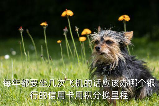 长期坐飞机办什么信用卡好，经常坐飞机办什么卡