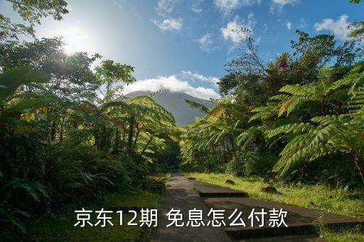 京东12期 免息怎么付款