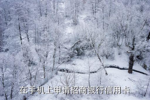 在手机上申请招商银行信用卡