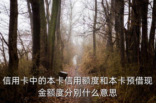 信用卡中的本卡信用额度和本卡预借现金额度分别什么意思