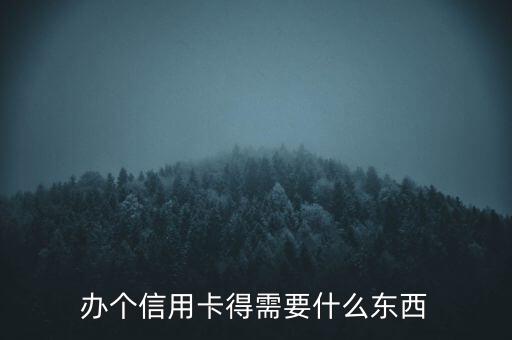 办个信用卡得需要什么东西