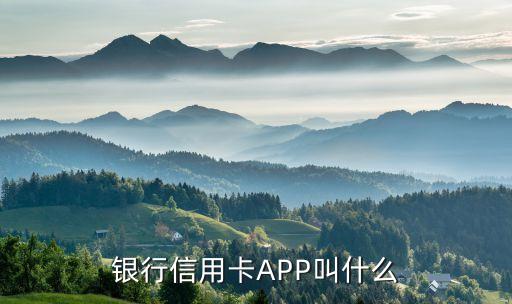银行信用卡APP叫什么