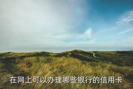在网上可以办理哪些银行的信用卡