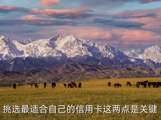 挑选最适合自己的信用卡这两点是关键