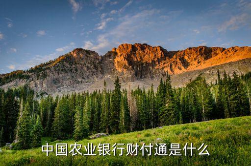 中国农业银行财付通是什么