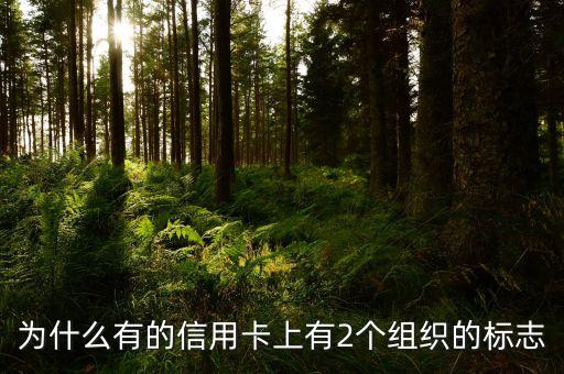 信用卡组织有什么作用，为什么有的信用卡上有2个组织的标志