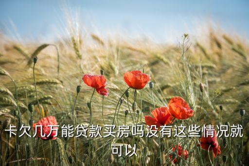卡欠几万能贷款买房吗没有这些情况就可以