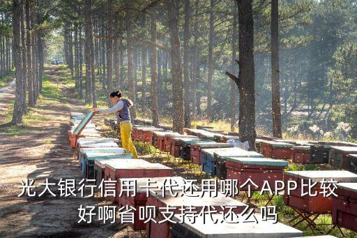 光大银行信用卡代还用哪个APP比较好啊省呗支持代还么吗