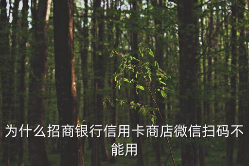 为什么招商银行信用卡商店微信扫码不能用