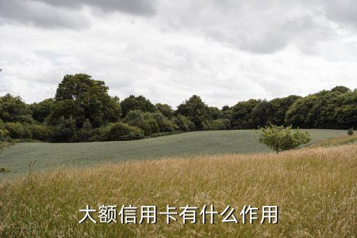 大额信用卡有什么作用