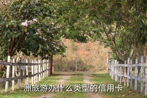洲旅游办什么类型的信用卡