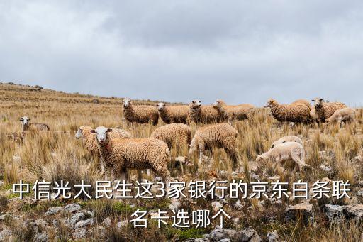 中信光大民生这3家银行的京东白条联名卡选哪个