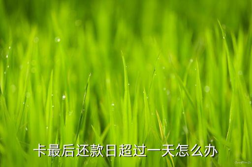 卡最后还款日超过一天怎么办