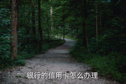 银行的信用卡怎么办理