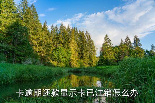 卡逾期还款显示卡已注销怎么办